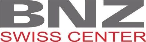BNZ INDUSTRIAL SUPPORT logo